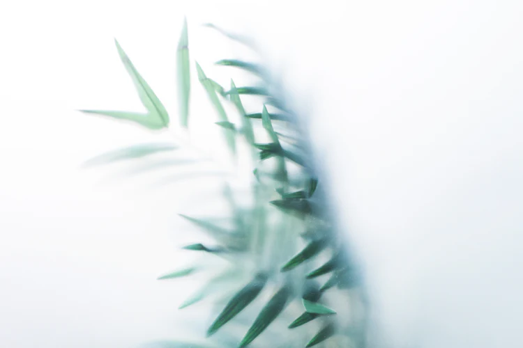Loc wellness visual