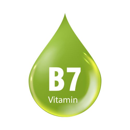 Biotin (Vitamin B7)
